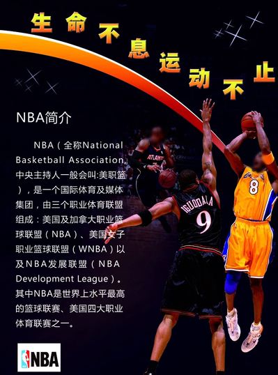 使转会窗有